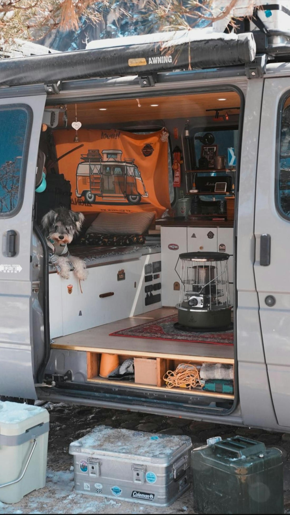 Van interior with a dog, ready for adventure.
