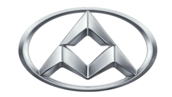 Load Assist - LDV